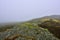 Misty Moorland Landscape of West Central Scotland