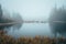 Misty morning by autumn lake, peaceful scenery, white edit space