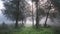 Misty morning in the country with fence line