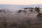 A misty morning in Estonian bog