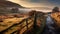 Misty Morning Glen: Traditional British Landscape With Wooden Gate