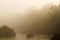 Misty morning in jungle river in Nepal