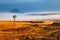 Misty morning landscape, South Africa