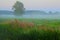 Misty morning over farmland in Axe Valley