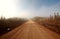 Misty Morning Road in Spring Saskatchewan