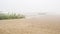 Misty morning sand beach