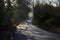 Misty morning shadows around the bend in the road