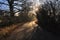 Misty morning shadows around the bend in the road