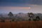 misty morning sunrise in mountain with cloud at Thung Salang Luang National Park Phetchabun,Thailand.