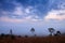 misty morning sunrise in mountain with cloud at Thung Salang Luang National Park Phetchabun,Thailand.