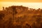 Misty morning sunrise in mountain at Thung Salang Luang National