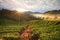 Misty morning sunrise in strawberry garden at Doi Ang-khang