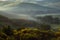 Misty morning with trees and a field of poppies in the hills around San Quirico Val D`Orcia Tuscany Italy