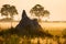 Misty morning view of wide termite mound rising in Okavango