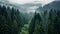 Misty Mountain: Enchanting Timber Frame Forest With Foggy Green Foliage