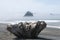 Misty Mountain Island with Driftwood at Rialto Beach. Olympic National Park, WA