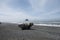 Misty Mountain Island with Driftwood at Rialto Beach. Olympic National Park, WA