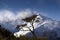 Misty mountain peak, Fiordland National park