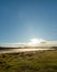 Misty Mountain Plains Landscape, Tranquil Beauty of Horton Plains, Sri Lanka