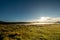 Misty Mountain Plains Landscape, Tranquil Beauty of Horton Plains, Sri Lanka