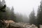 Misty and mysterious forest. The Mountain ` Zyuratkul.` Ural. Autumn