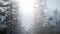 Misty nordic forest in early morning with fog