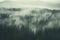 Misty Nordic Forest Landscape
