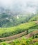 Misty over the sharp curve road