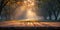 A Misty Park Backdrop Frames A Wooden Table In The Evening