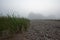 Misty Pathways: Enchanting Gravel Dirt Country Road in a Summer Morning Fog