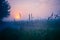 Misty Pathways: Enchanting Gravel Dirt Country Road in a Summer Morning Fog