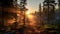 Misty Pine Forest At Sunrise: A Serene Hiking Trail In Nature\\\'s Embrace