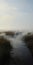 Misty Pond: A Lively Coastal Landscape With Textural Intensity