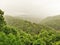 Misty Rain over Lansing, North Carolina