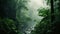 A misty rainforest with green trees and ferns