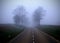 The misty road (2)