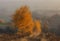 Misty Rural Autumn Landscape With Beautiful Birches