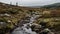 Misty Stream Flowing Through Hills With Rocks - Steinheil Quinon 55mm F19