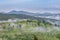 Misty summer morning landscape over Bucovina village. Green fild meadows covered in mist with fir forest mountains in background a