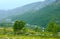 Misty summer mountain with river (Norway)