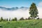 Misty summer scene of Triglav national park, Bohinj lake location. Bright morning view of Julian Alps, Slovenia, Europe. Beauty of