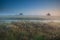 Misty summer sunrise over marsh with cotton-grass