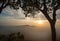 Misty sunrise clouds below mountains tree silhouette