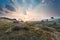 Misty sunrise over dunes with flowering heather