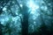 Misty tropical green rain forest, Ang Ka Nature Trail