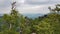 Misty view from the Schrammsteine rocks vantage point, Saxony, Germany