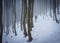 Misty view of Ski alpinist walking to snowy mount with trees