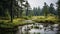 Misty Wetland: A Serene Landscape Captured With Hasselblad H6d-400c