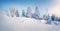 Misty winter morning in Carpathian mountains with snow covered fir trees. Splendid outdoor scene, Happy New Year celebration