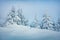 Misty winter morning in Carpathian mountains with snow covered fir trees. Splendid outdoor scene, Happy New Year celebration